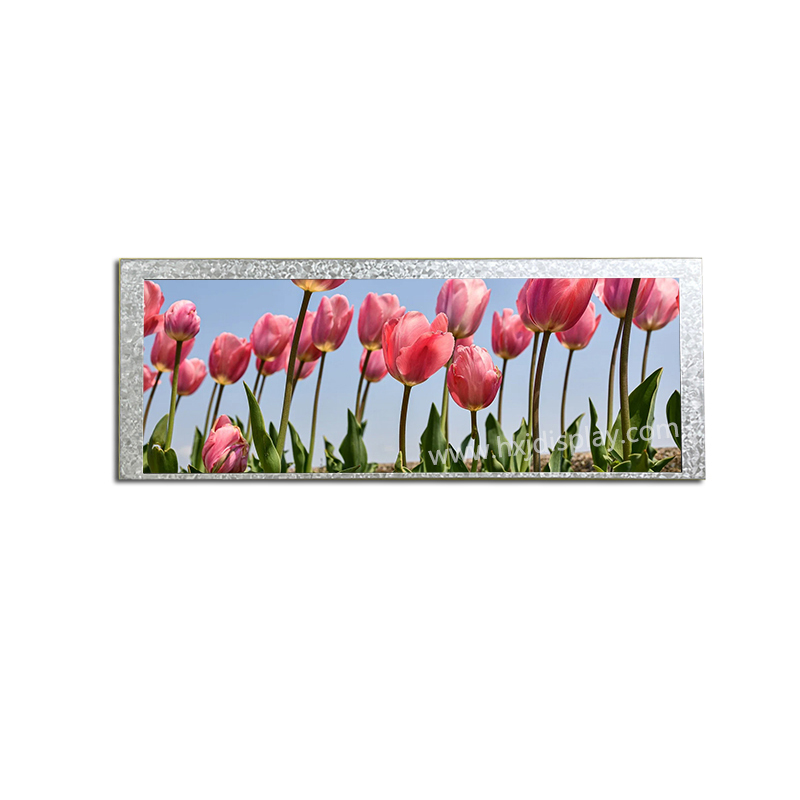 6.86 inch 480×1280 IPS TFT Display without Touchscreen